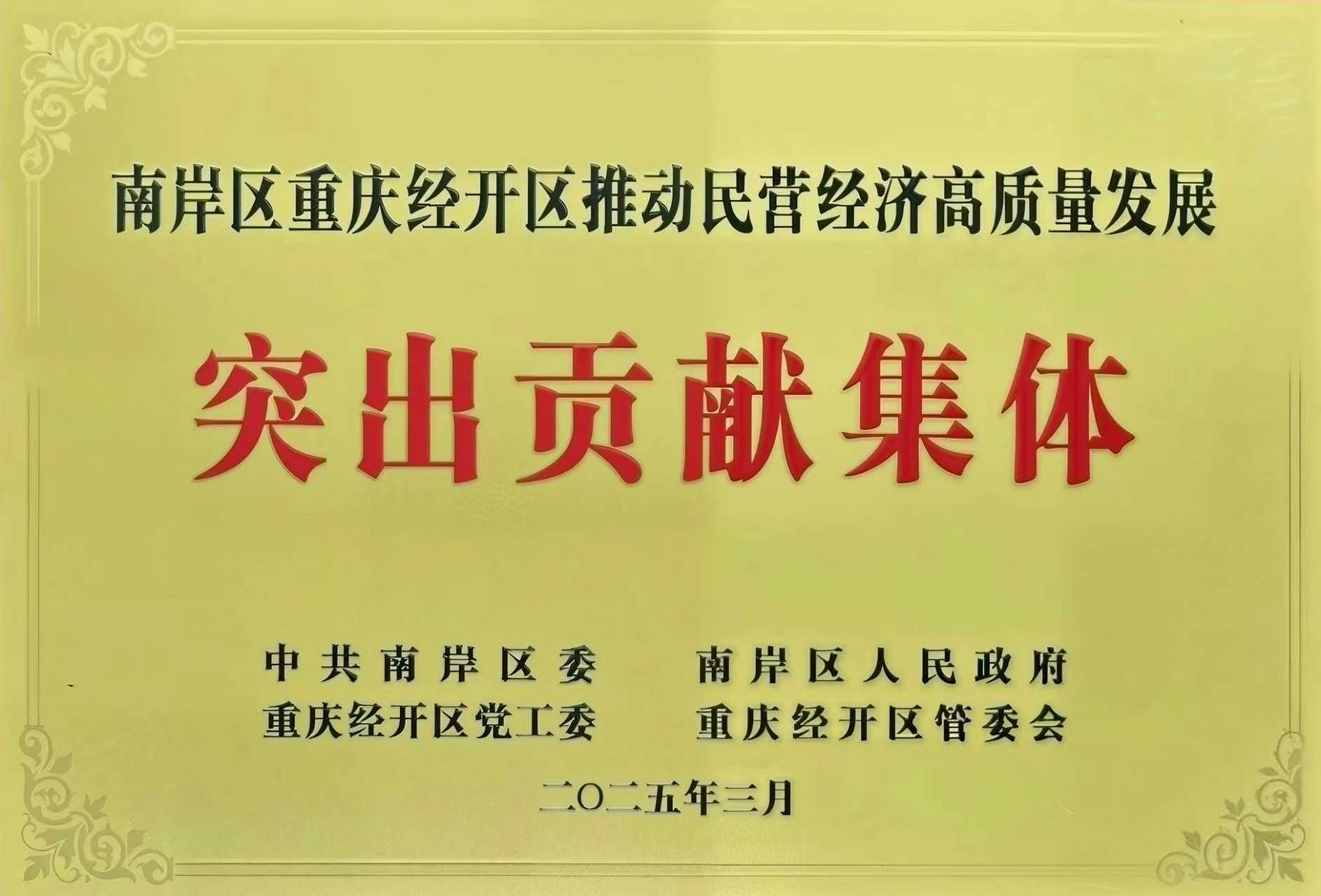 二五年推动民营经济高质量发展突出贡献集体