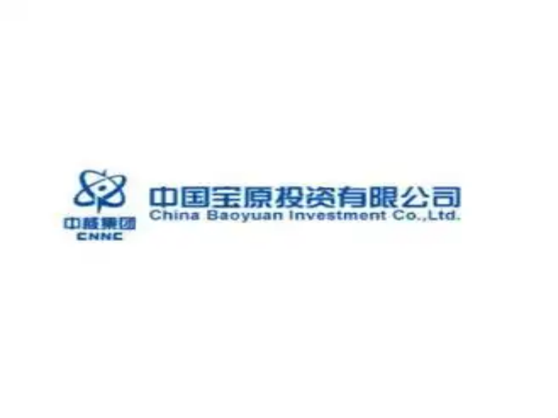中国宝原投资有限公司