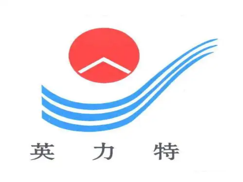 宁夏英力特化工股份有限公司