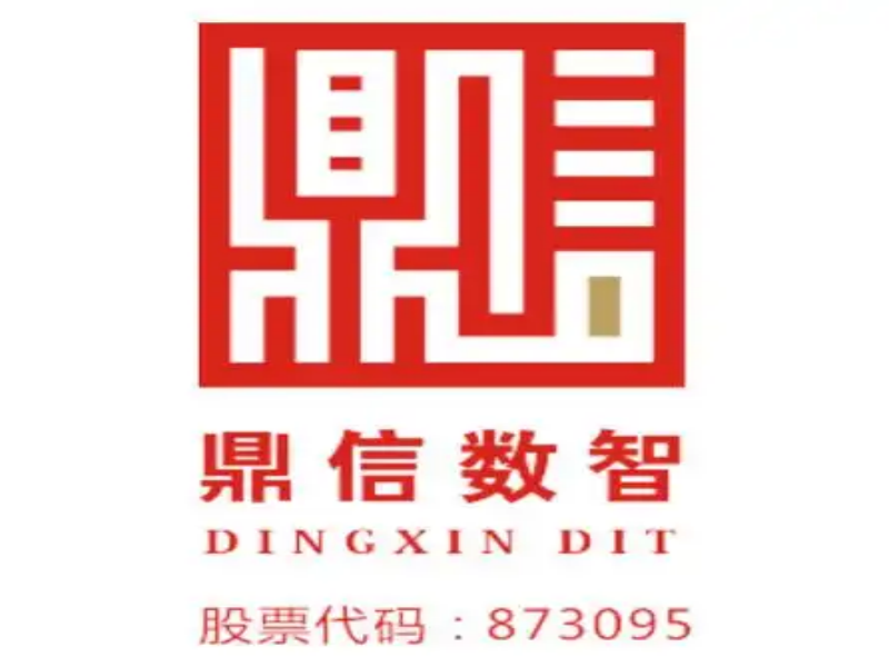 鼎信数智技术集团股份有限公司